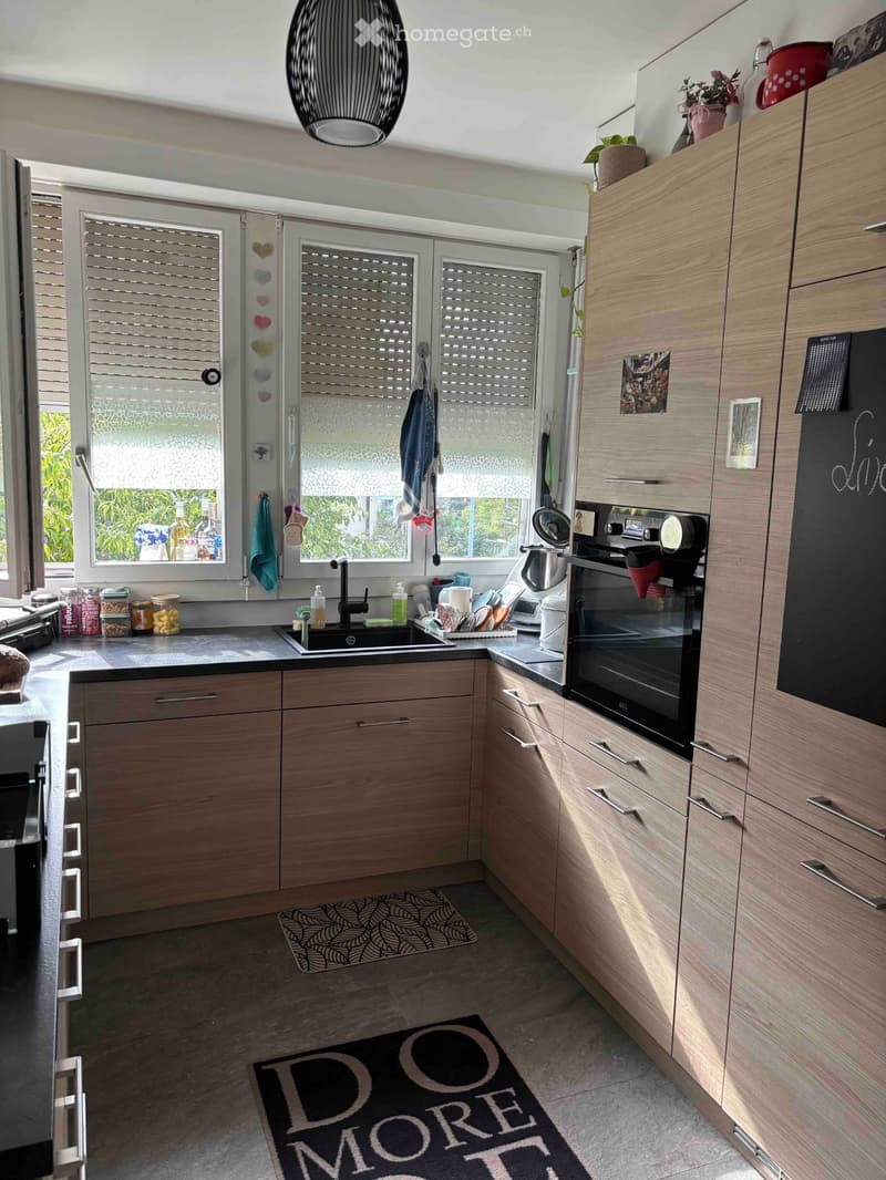 Wonderful apartment available for rent (Lausanne, Vidy) (4)