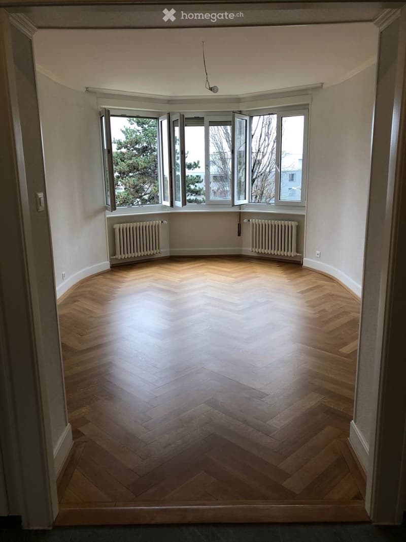 Wonderful apartment available for rent (Lausanne, Vidy) (2)