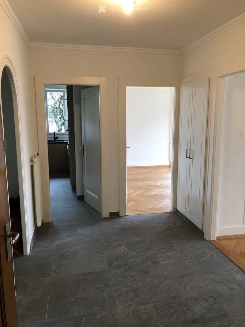 Wonderful apartment available for rent (Lausanne, Vidy) (5)