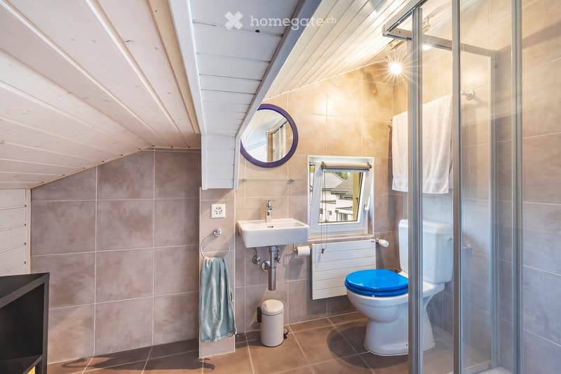 Chalet avec grand jardin (3)