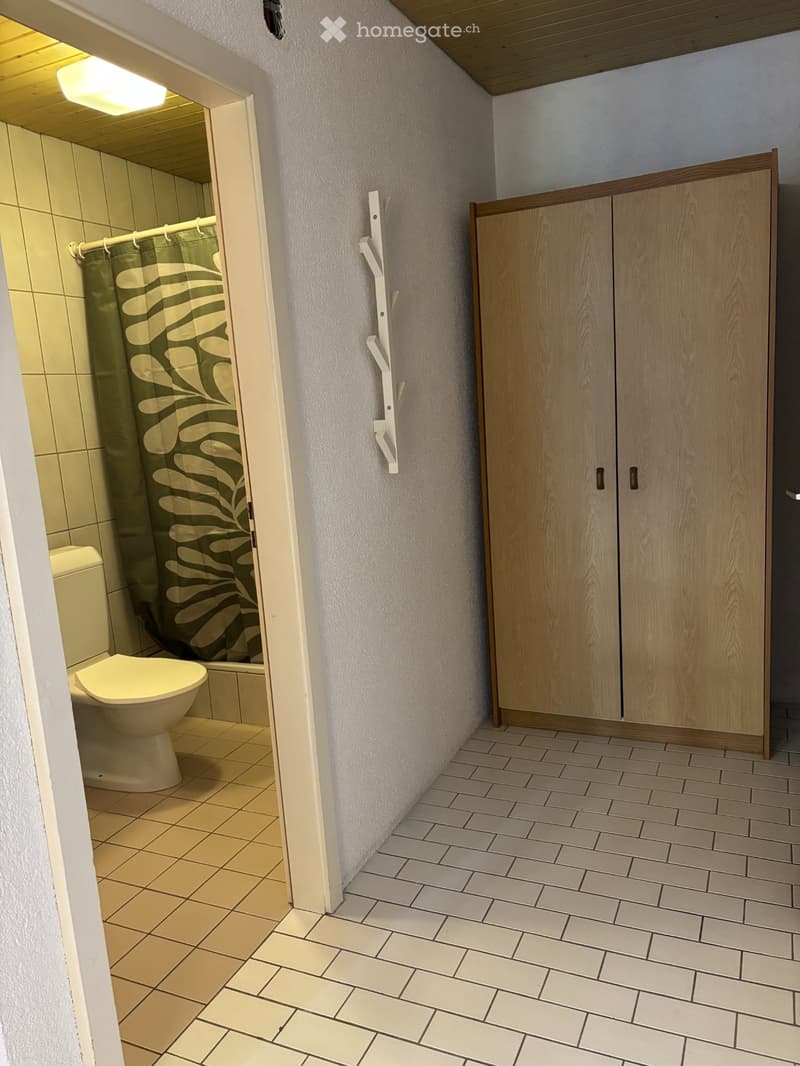 Charmant studio meublé de 35m² (3)