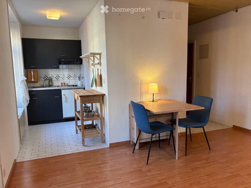 Charmant studio meublé de 35m² (4)