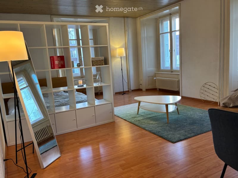 Charmant studio meublé de 35m² (2)