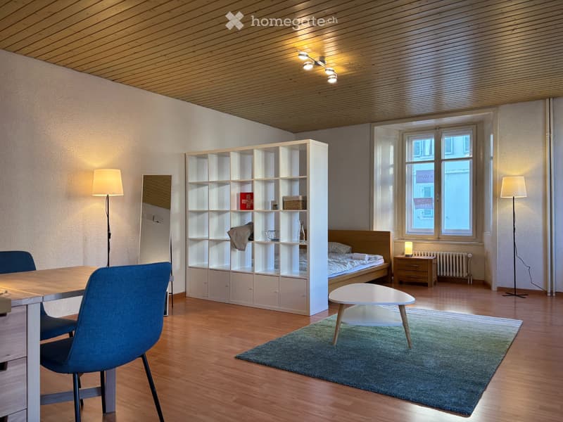 Charmant studio meublé de 35m² (1)