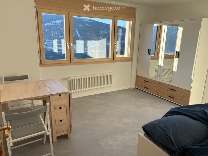 Location à lannée - studio rénové surface habitable de 30m2 (1)
