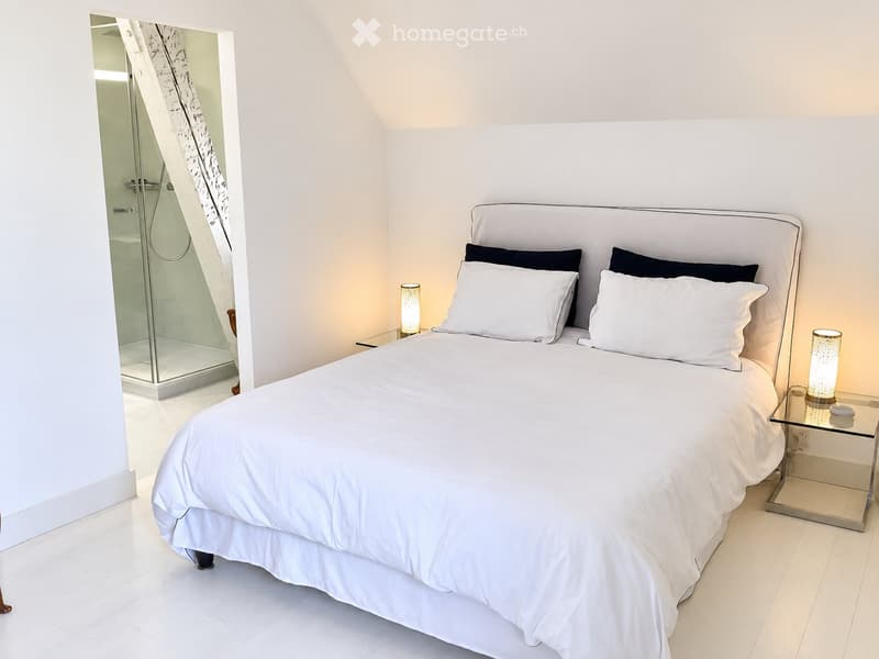 Rare Furnished Duplex Penthouse in Chêne-Bougeries (5)