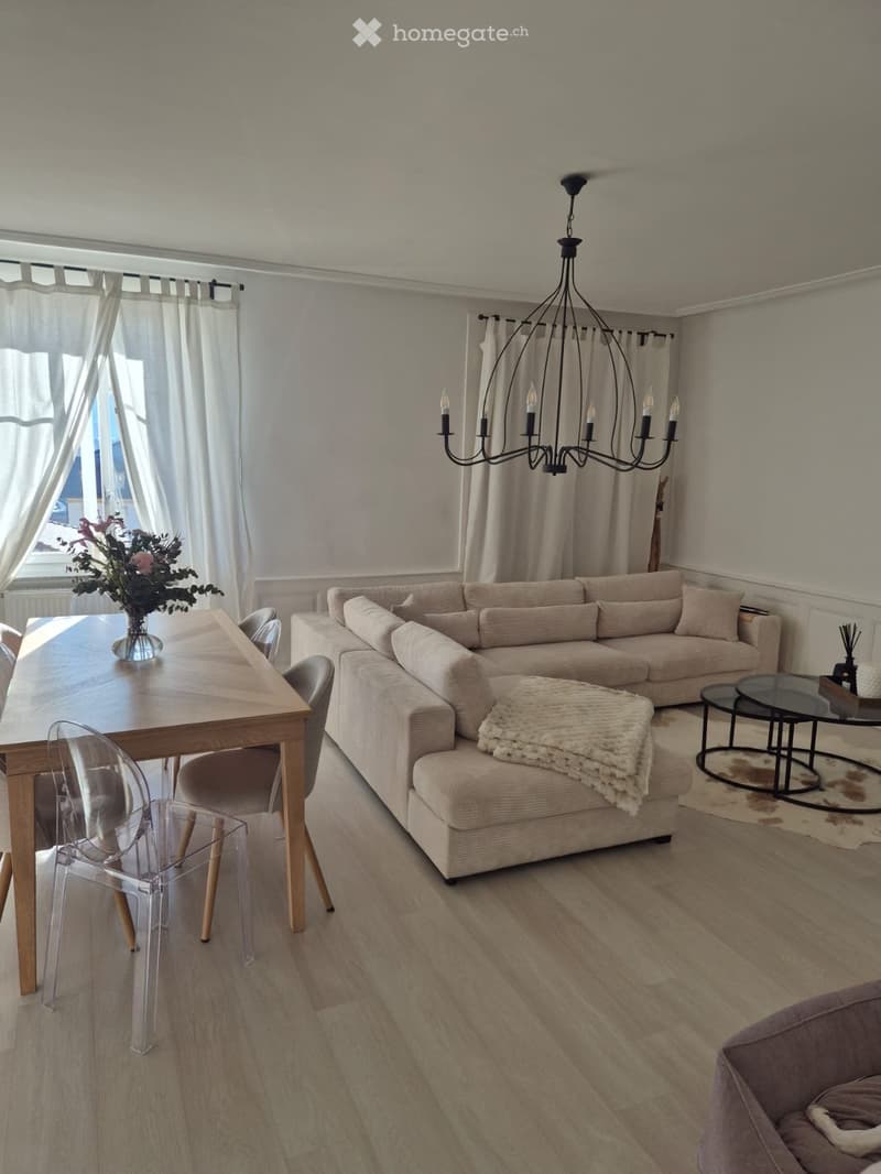 Magnifique appartement 3,5 pièces (3)