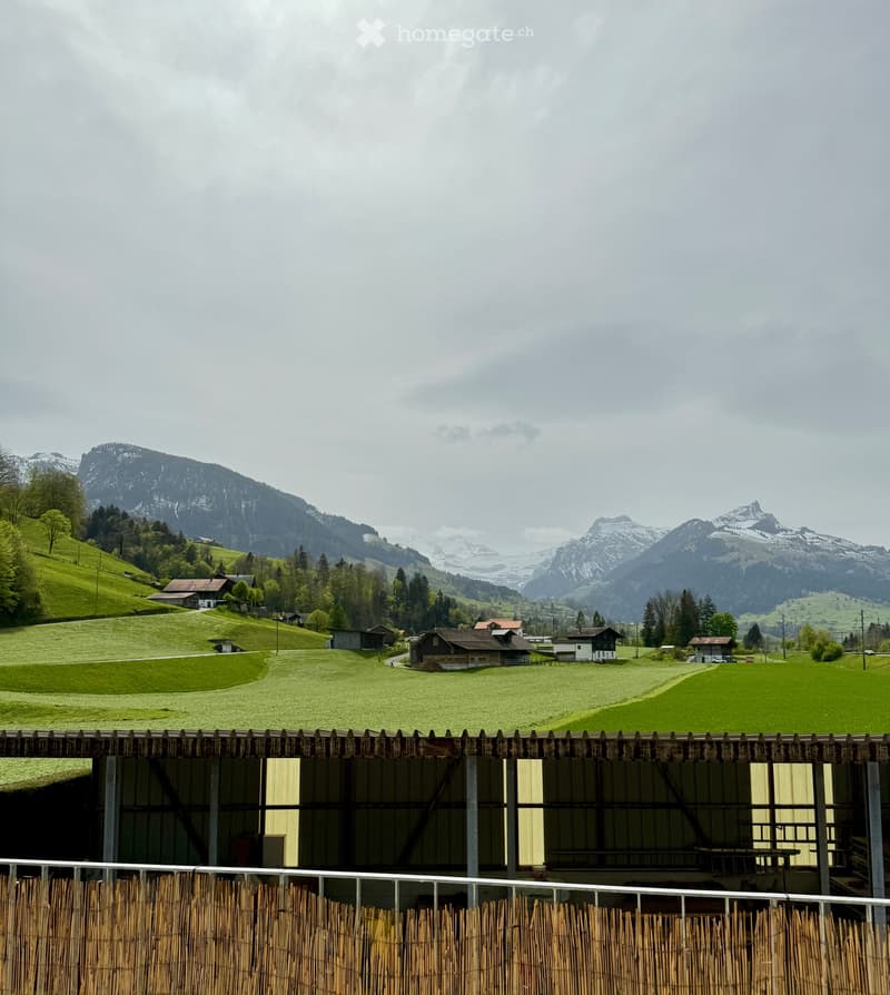 WG-Zimmer (2er-WG) in heller, moderner Wohnung (Nähe Spiez) (4)
