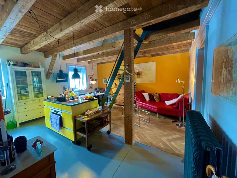 Einzigartige 3,5-Zimmer-Duplex-Wohnung mit Dachterrasse (3)