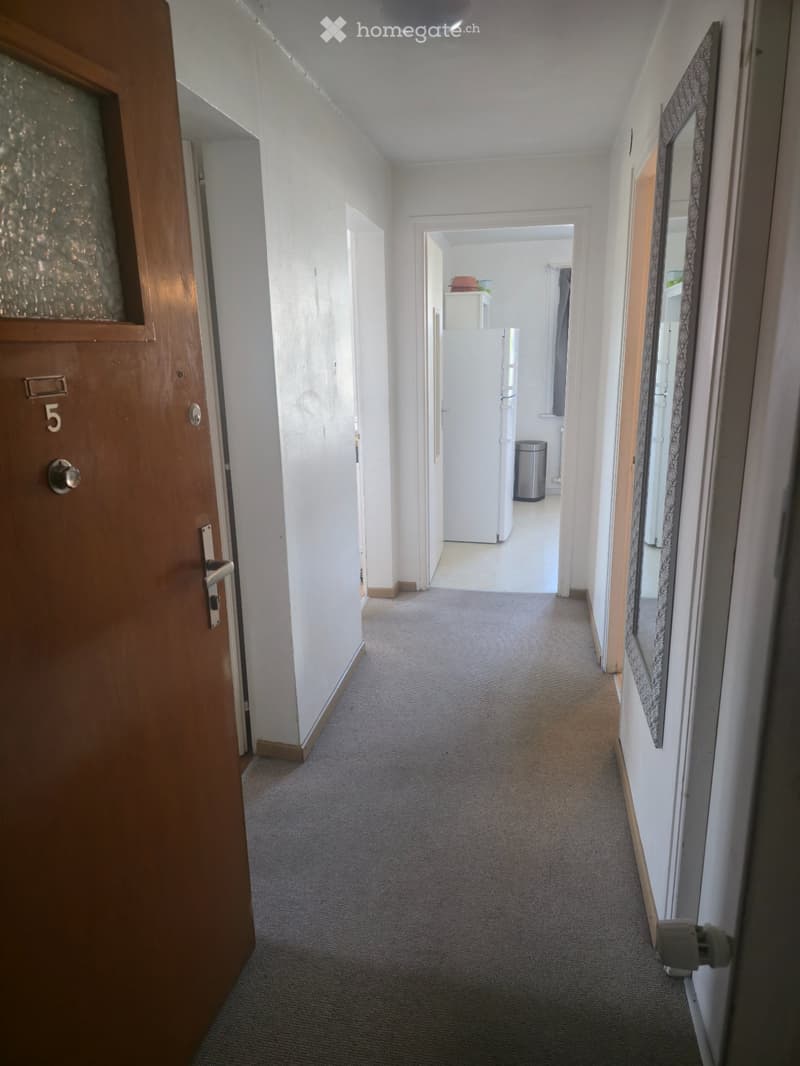 Appartement 2p (3p Genevois) 1213.- CHF/mois dès le 01.11.26 (1)