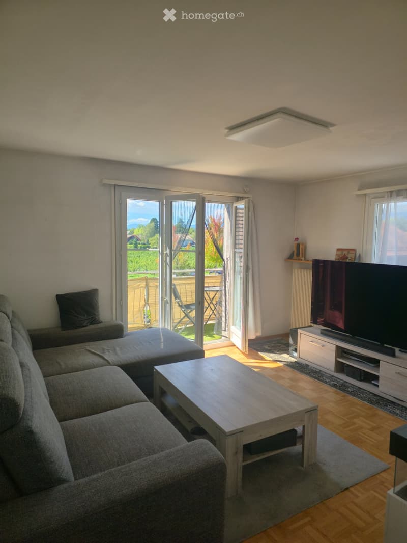Appartement 2p (3p Genevois) 1213.- CHF/mois dès le 01.11.26 (3)