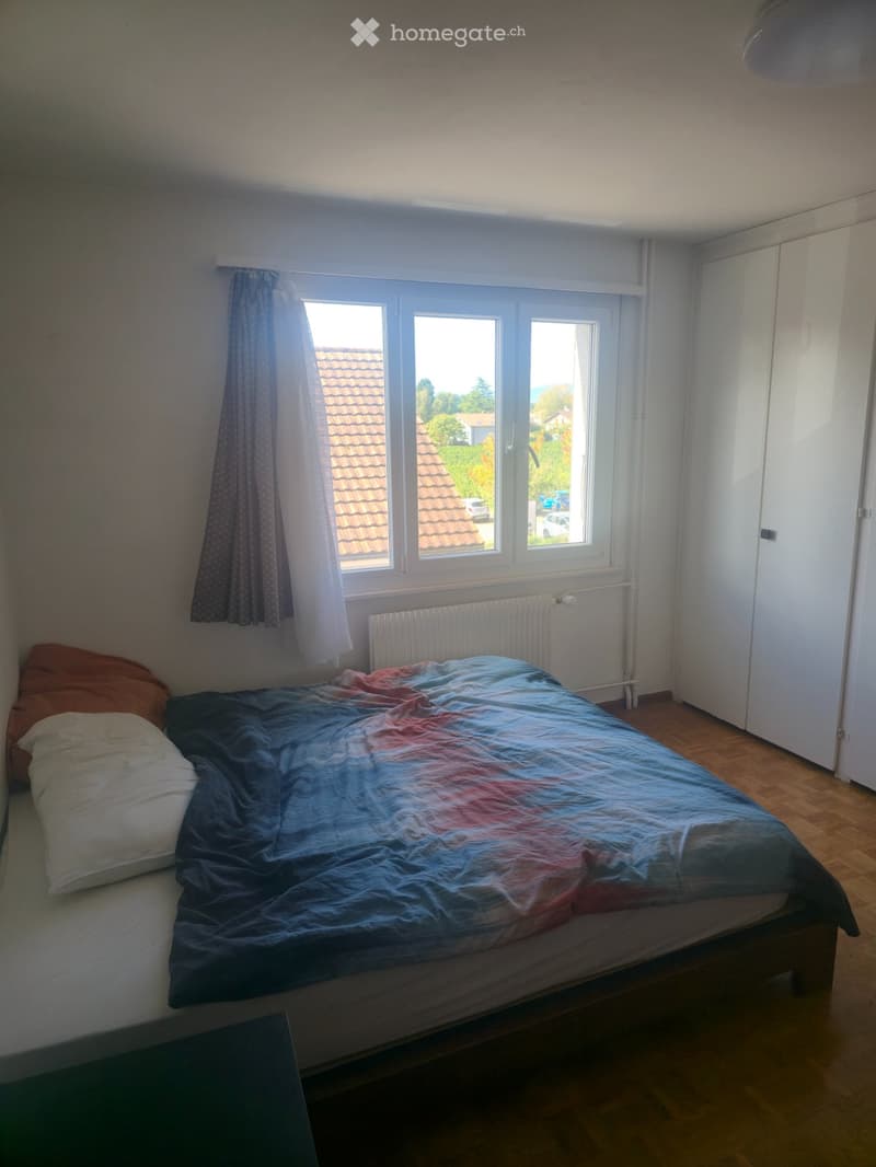 Appartement 2p (3p Genevois) 1213.- CHF/mois dès le 01.11.26 (2)