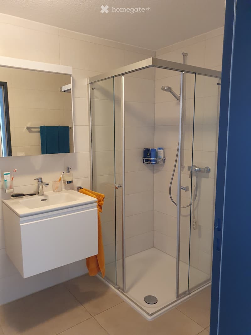 Appartement Remise de bail (2)