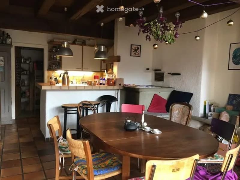 Charmant appartement de 5 pièces dans une ferme rénovée (3)