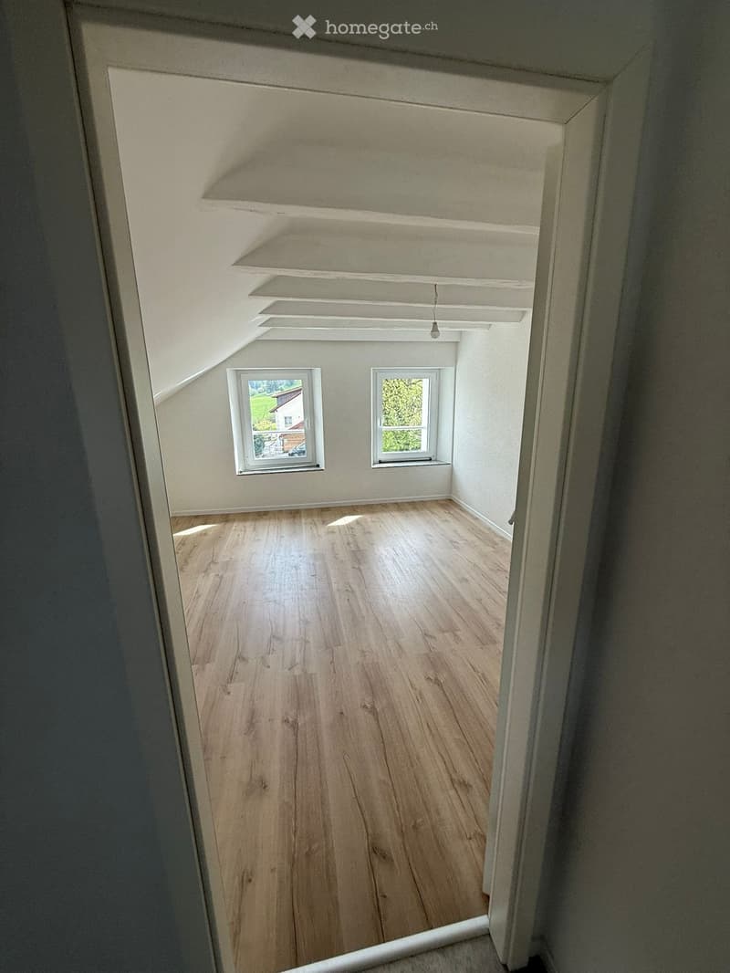 Appartement 4.5 pièces 1er étage entièrement rénové (2)