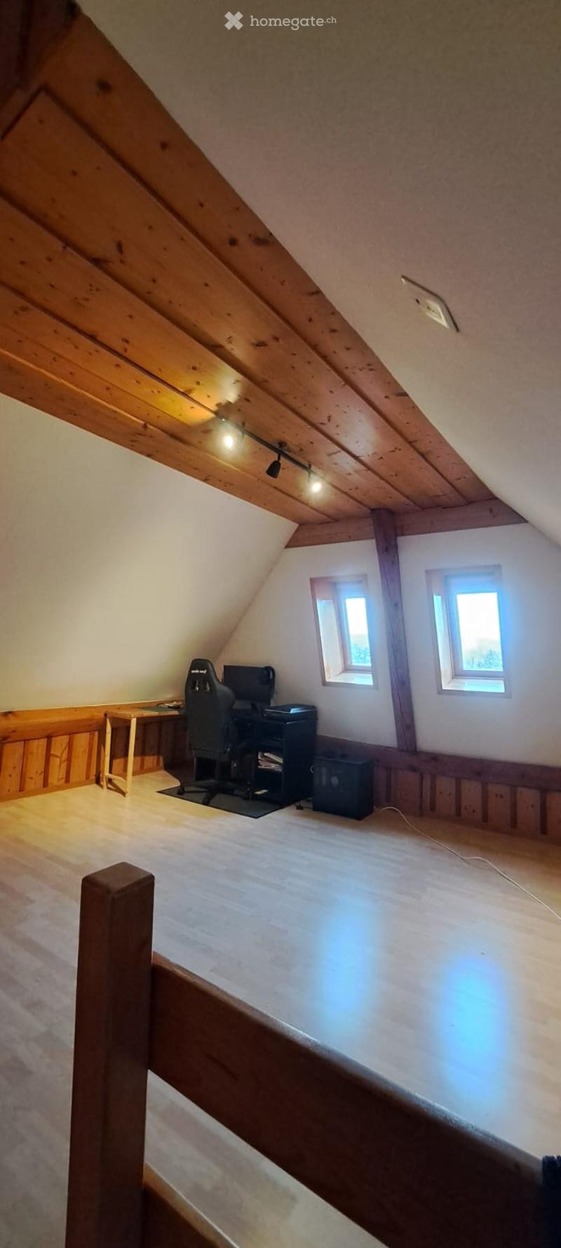 Loft en attique avec poutres apparentes (5)