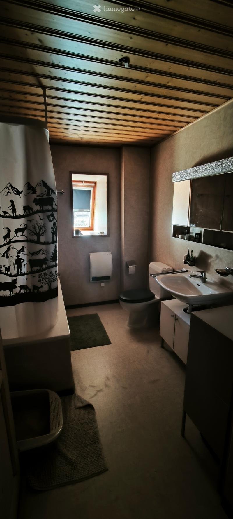 Loft en attique avec poutres apparentes (2)