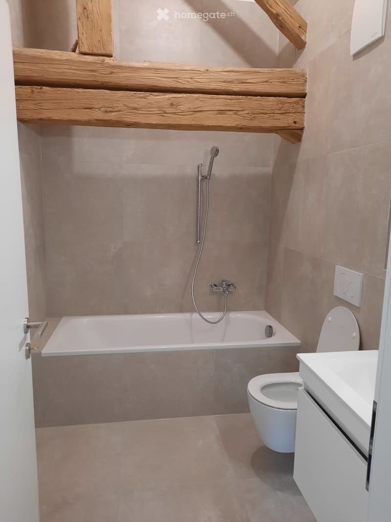 Appartement duplex (3)