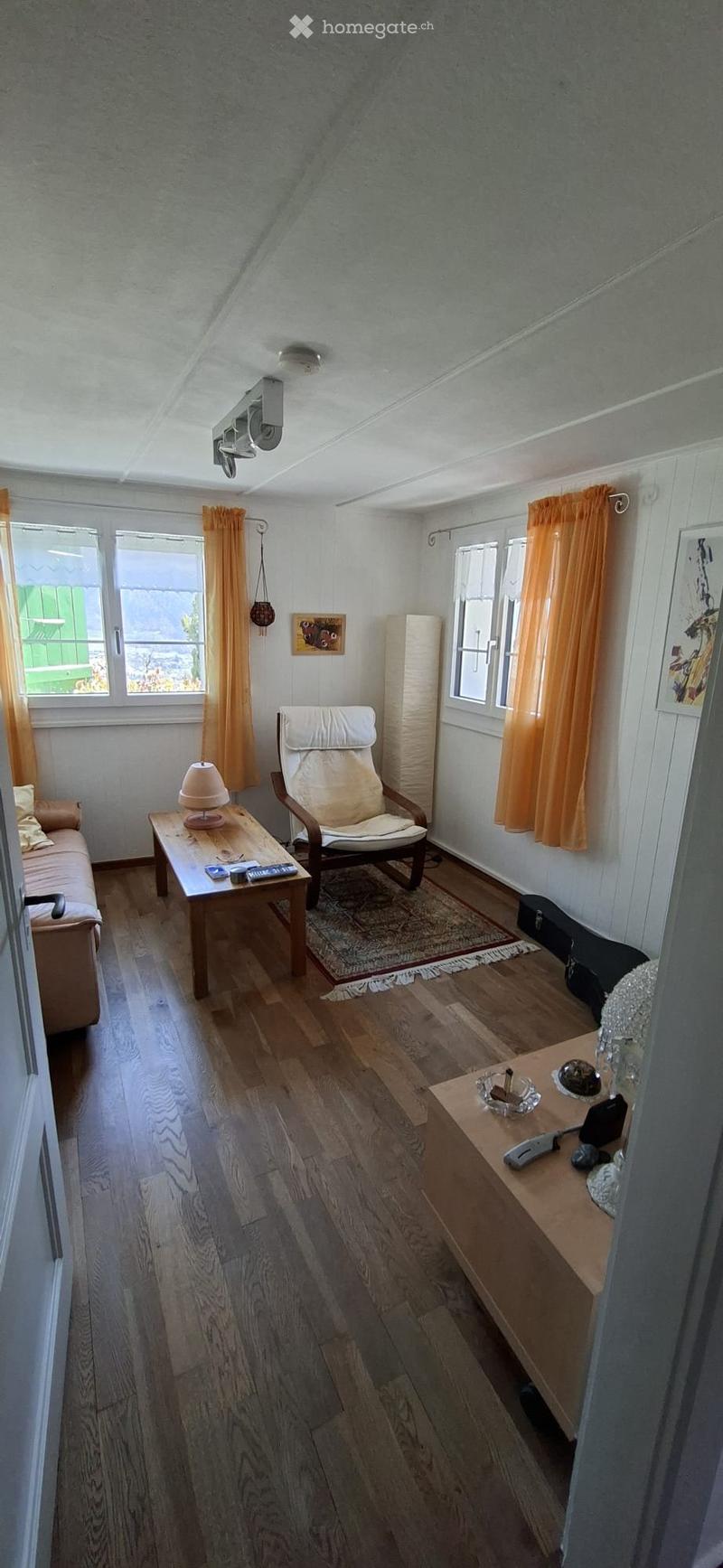 Petite maison meublée 2.5 pièces avec jardin et vue - Vaas (4)