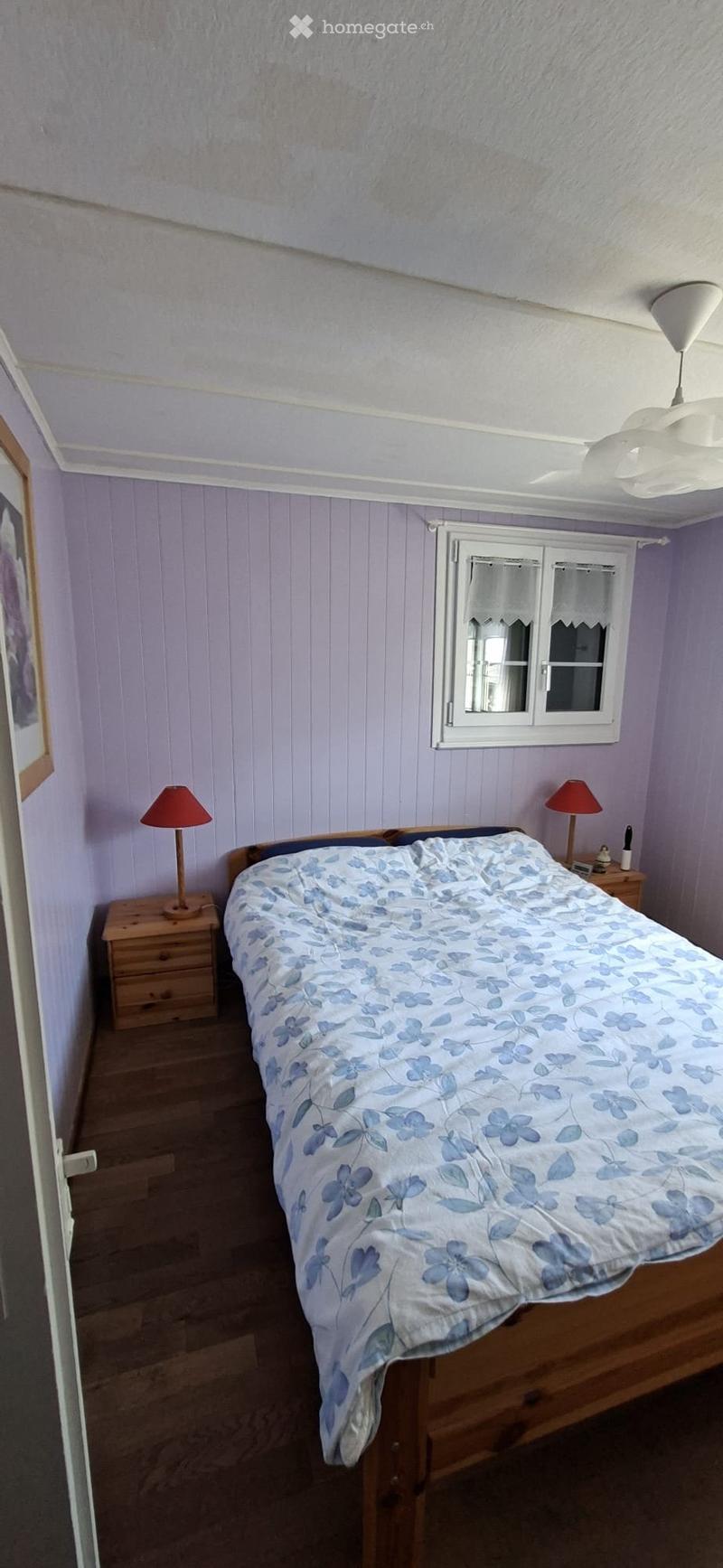 Petite maison meublée 2.5 pièces avec jardin et vue - Vaas (2)