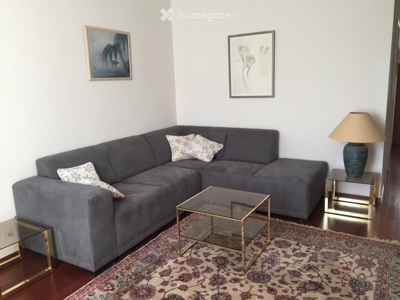 appartement meublé (2)