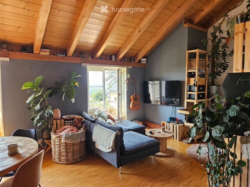 2 pièces en duplex avec vue lac (2)
