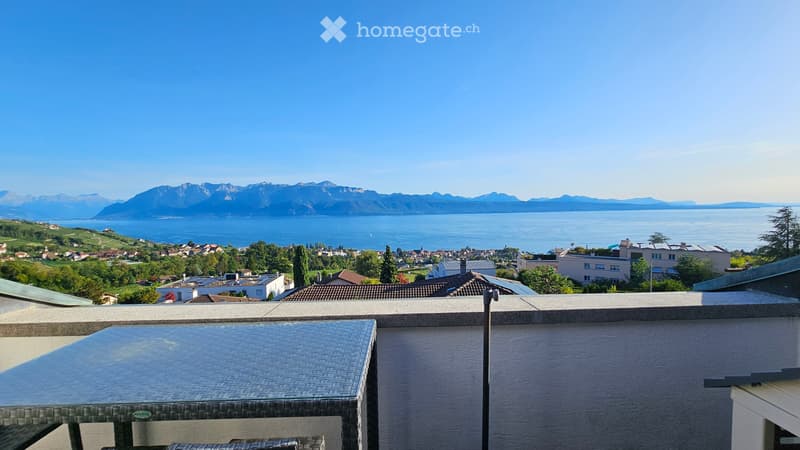 Appartement 3.5 pcs avec magnifique vue (5)