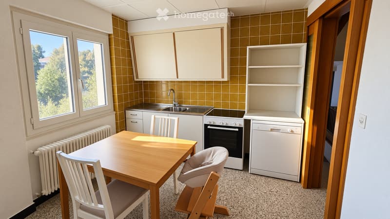 Appartement 3.5 pcs avec magnifique vue (2)