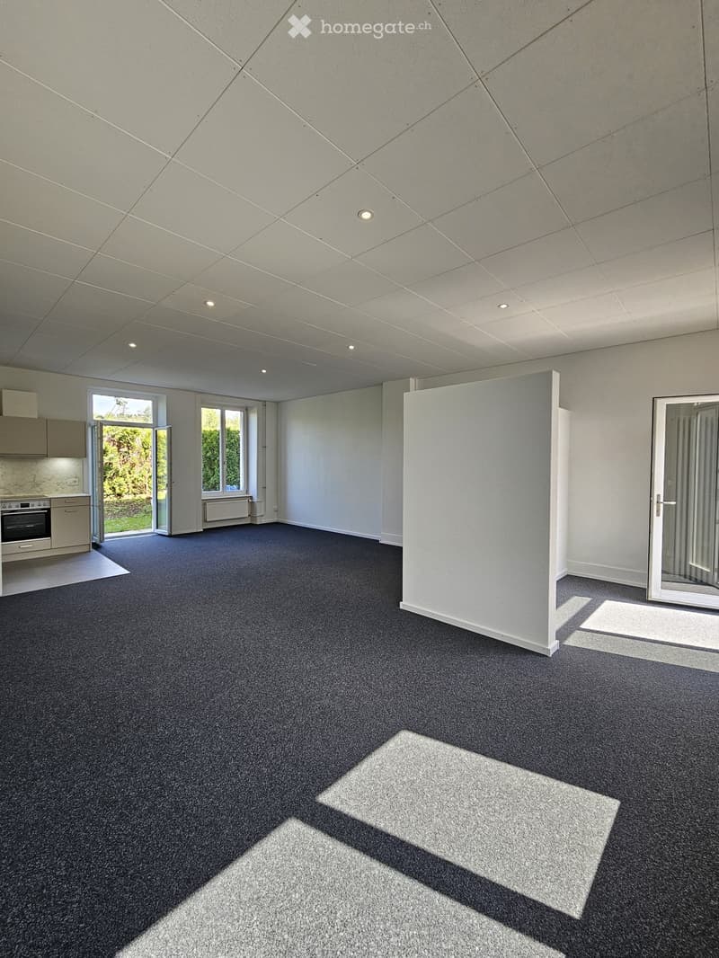 Loft 2 pièces à Courfaivre (1)