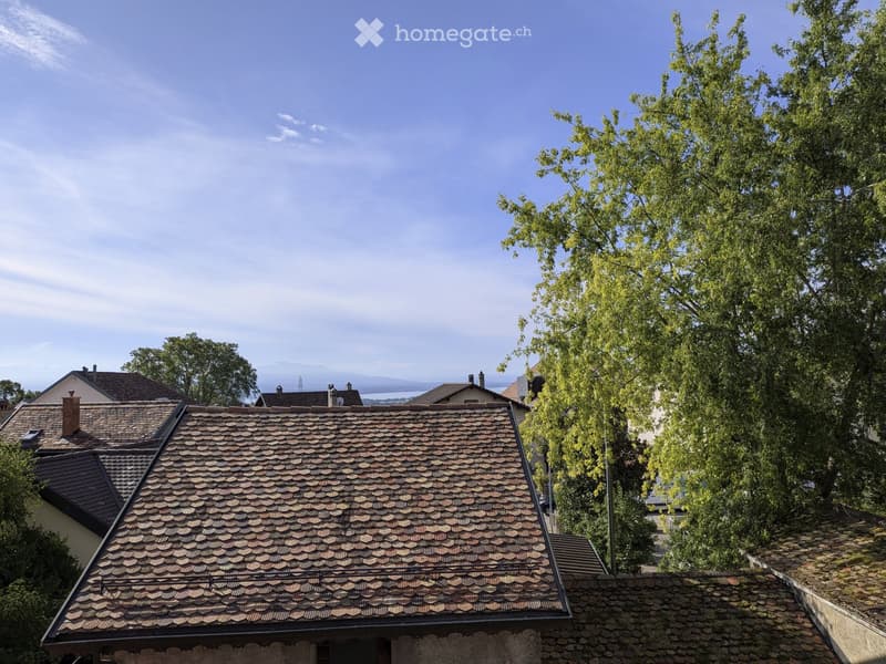 Bel appartement duplex 5 pièces dans un vilage tranquille (5)