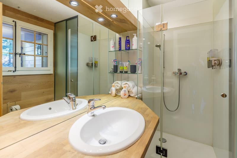 Appartement dune pièce meublé avec jardin Chesières/Villars (5)