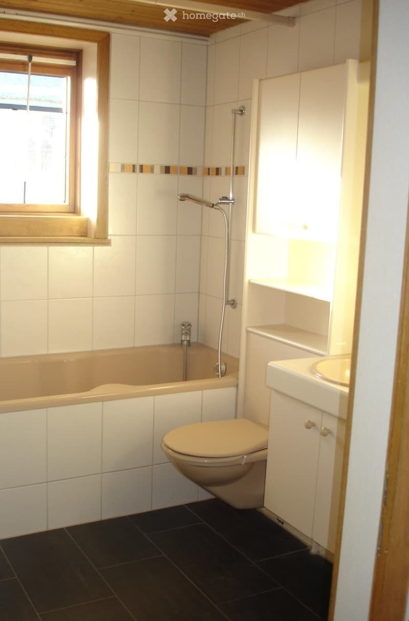 4.5 Zimmerwohnung EG, gross und hell (5)