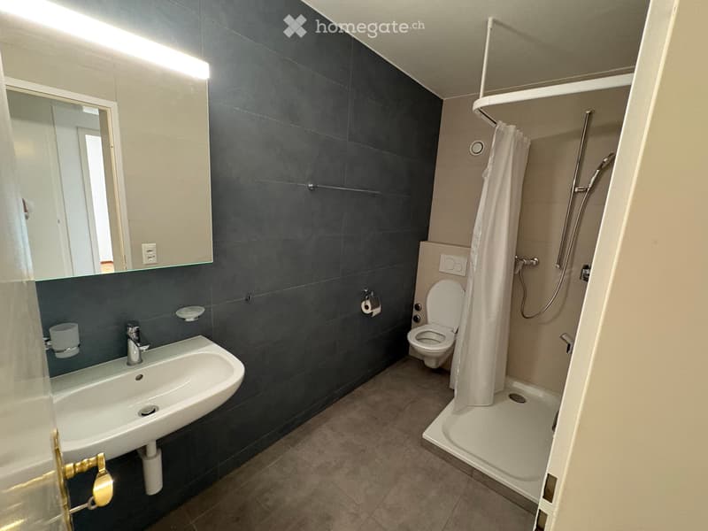 Appartement 3,5 pièces (5)