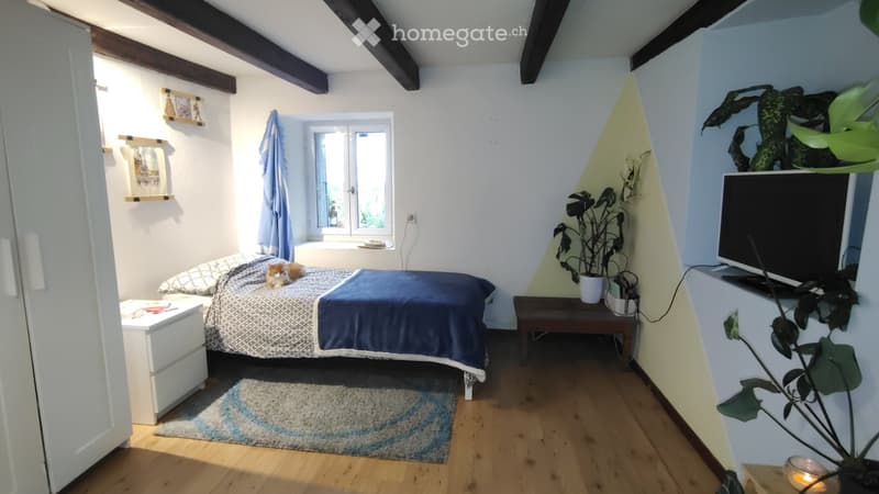 Colocation a Savigny (4)