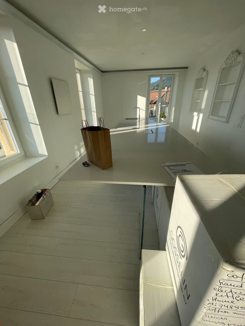 Charmant Appartement Lumineux - Montricher (5)