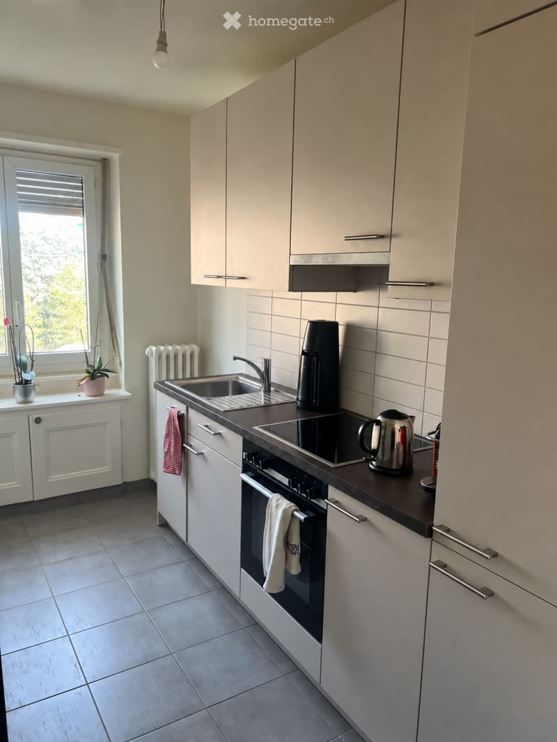 Appartement 2,5 pièces 45m2 Genève (3)