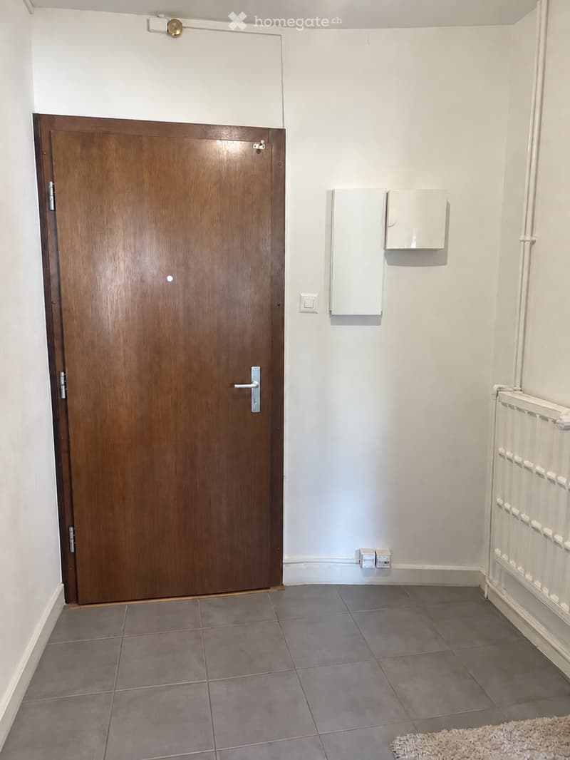 Appartement 2,5 pièces 45m2 Genève (4)