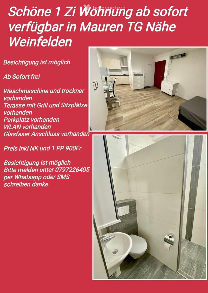 Ab SOFORT FREI  möblierte 1 Zi Wohnung (2)