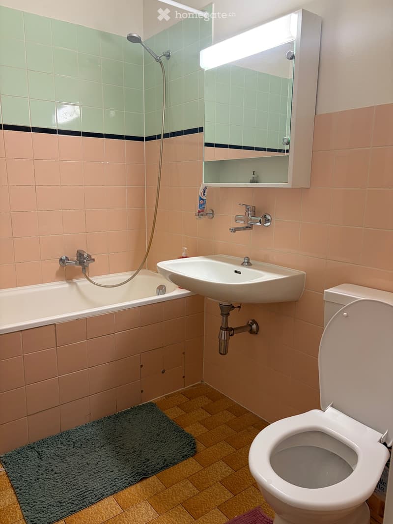 Grande chambre meublée à louer à Versoix charges comprises (3)