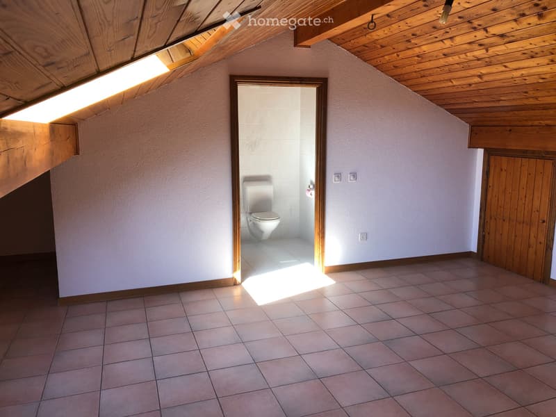 Grand appartement lumineux de 6.5 pièces (4)
