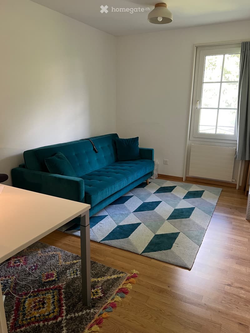 Chambre Sous-location Pully (2)