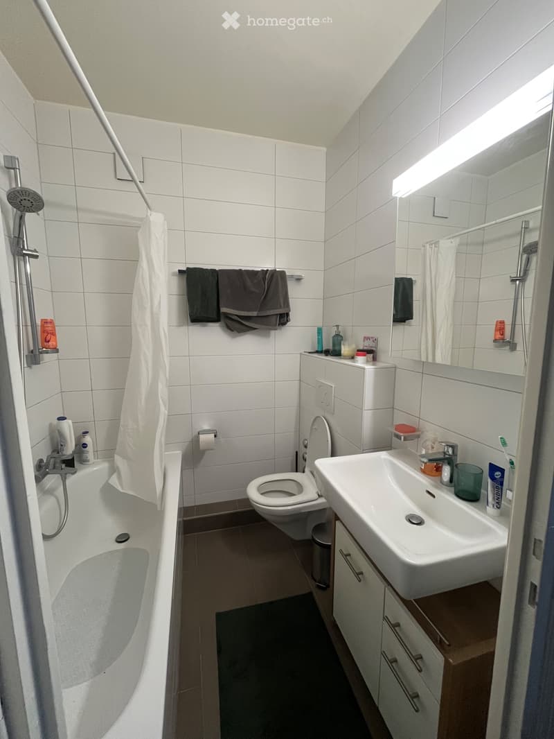 Sous-location meublée, appartement à Lausanne (3)