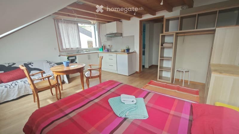Superbe studio avec vue sur Lac (3)