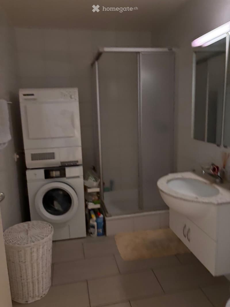 Appartement vue lac 4,5 pièce à 10min à pied du port (4)