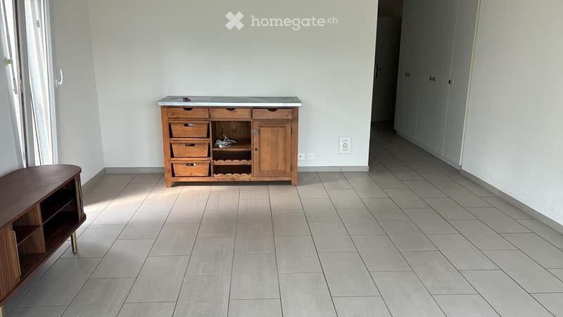 Appartement vue lac 4,5 pièce à 10min à pied du port (2)