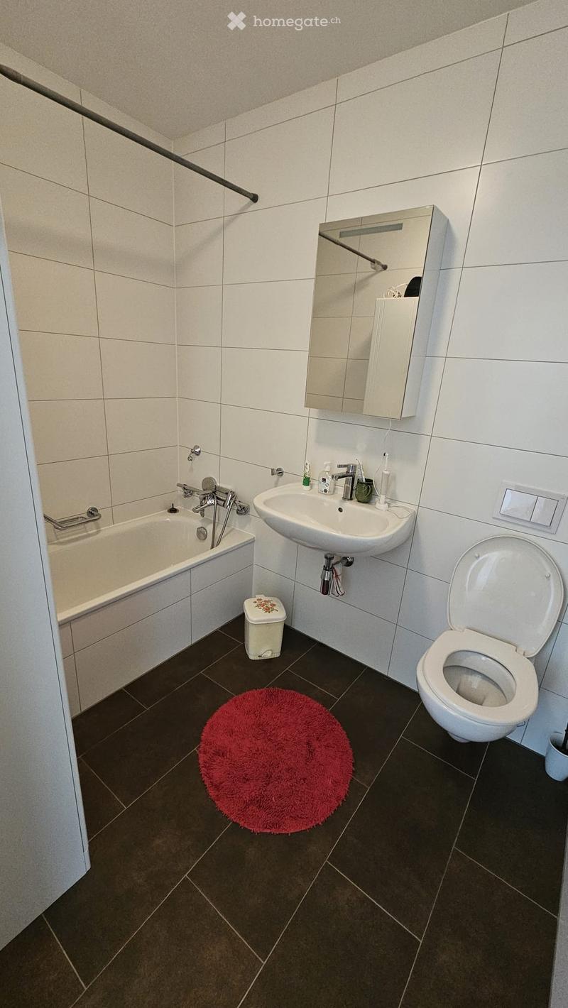 Magnifique 3.5 pcs dans le quartier d'Eikenott (3)