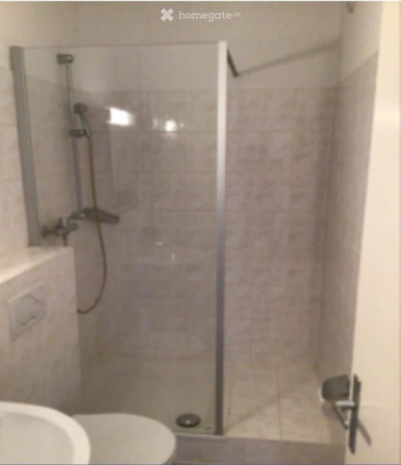 Appartement 5 pièces disponible Janvier 2027. (3)