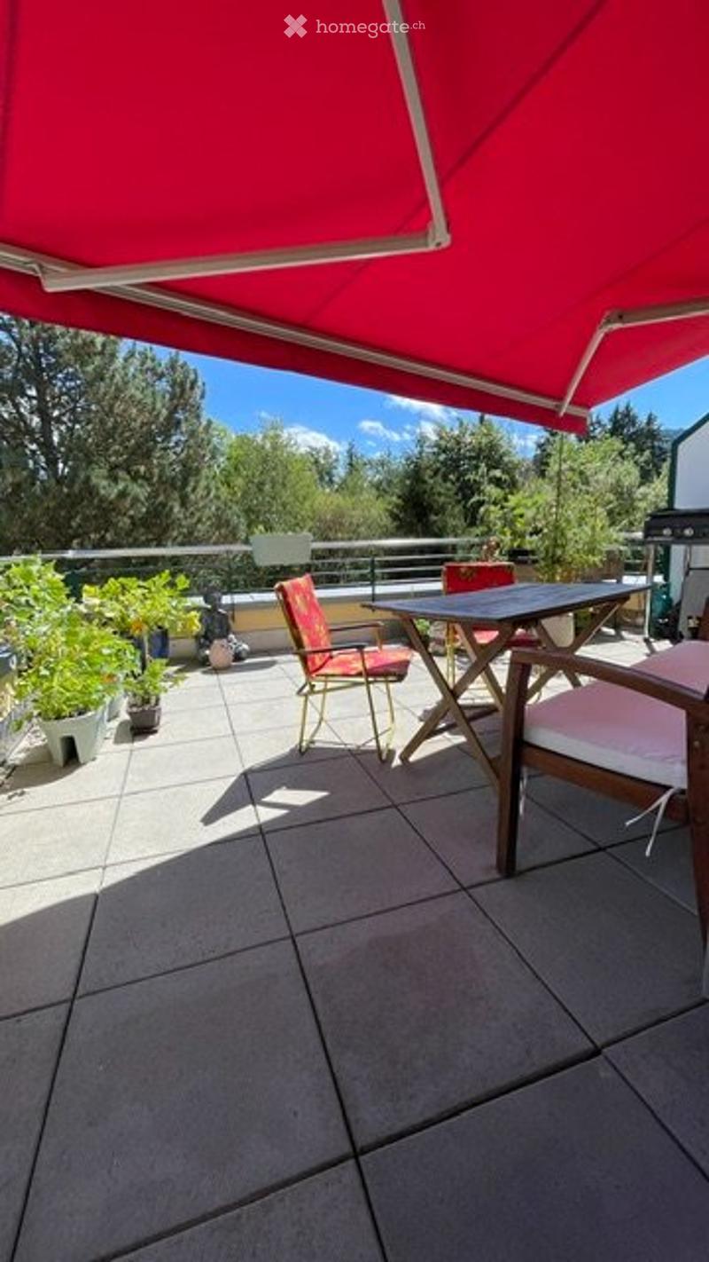 Magnifique 4.5 pièces en duplex avec terrasse (5)