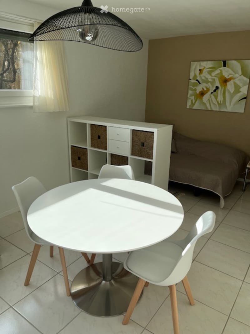 Lumineux studio meublé (4)