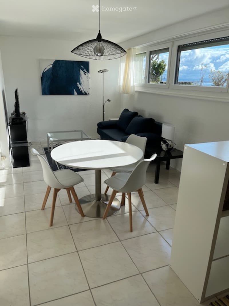 Lumineux studio meublé (1)